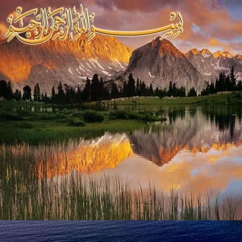 Medicinal plants organic production There of By Allah Dad Khan A Presentation...