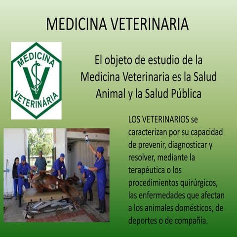 Medicina veterinaria