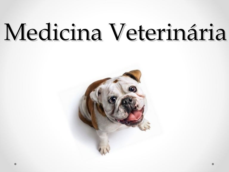 Featured image of post Medicina Veterinaria Wallpaper