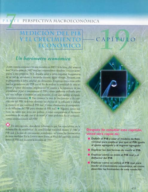 Medicion del Pib