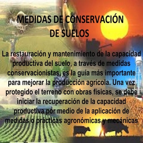 Medidas de conservación de suelos