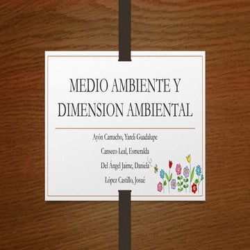 Medio ambiente-y-dimension-ambiental