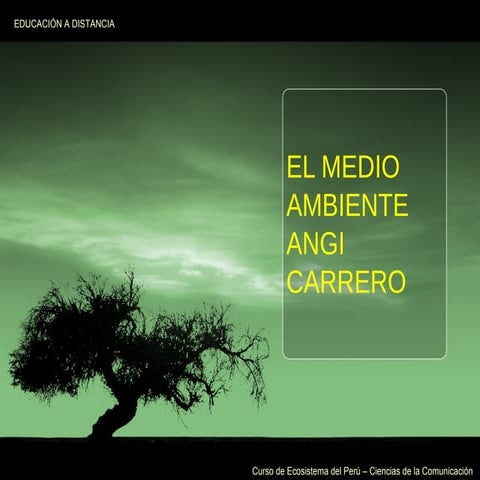 5 de junio dia del medio ambiente | PPTX