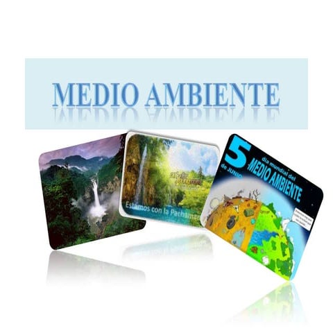Medio ambiente