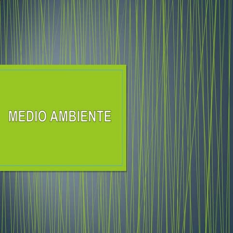 Medio ambiente