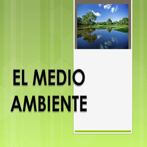 Medio ambiente
