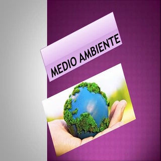 Medio ambiente
