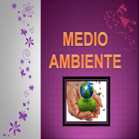 Medio ambiente 11 1