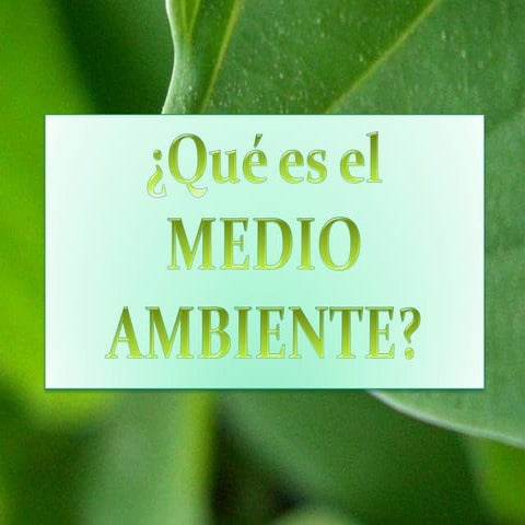 Medio ambiente (1)