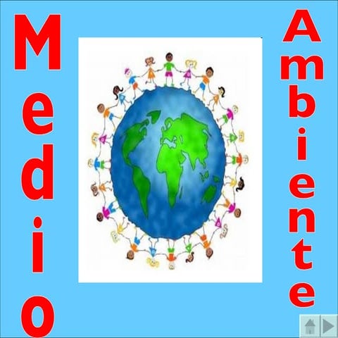 Medio Ambiente Alfonso Sofía
