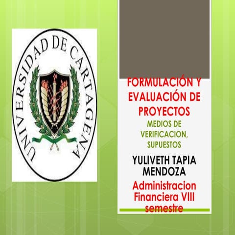 Medios de verificación y supuestos 