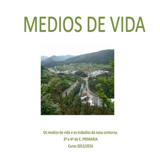 Medios de vida 1