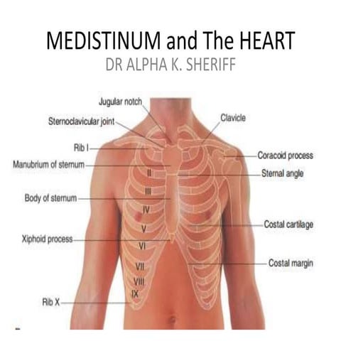 MEDISTINUM and The HEART.pptx1111111111111111111