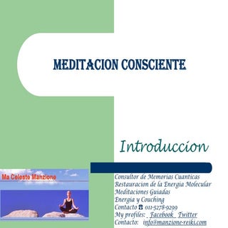 Meditacion consciente en reiki clas...
