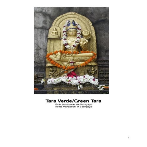 Meditacion visualizacion antipandemica