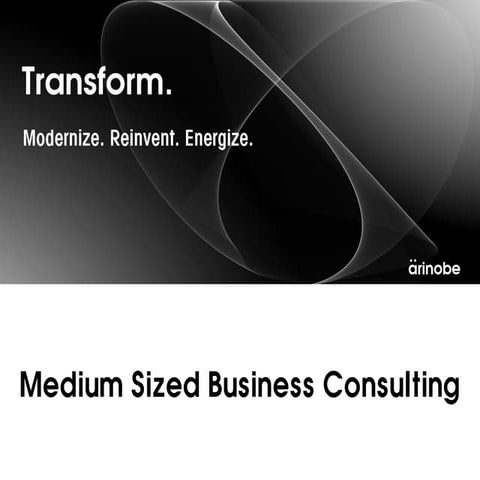 Medium sized business consulting