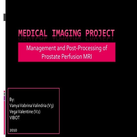 Post-Processing of Prostate Perfusion MRI
