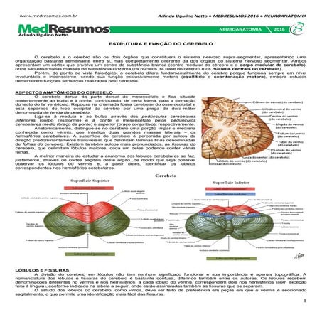 Medresumos 2016   neuroanatomia 09 - estrutura e funções do cerebelo