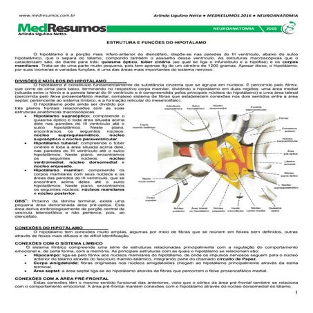Medresumos 2016   neuroanatomia 12 - hipotálamo
