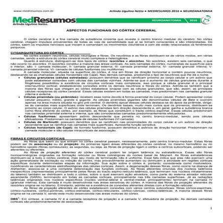 Medresumos 2016   neuroanatomia 14 - aspectos funcionais do córtex cerebral