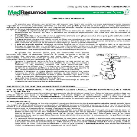 Medresumos 2016   neuroanatomia 20 - grandes vias aferentes