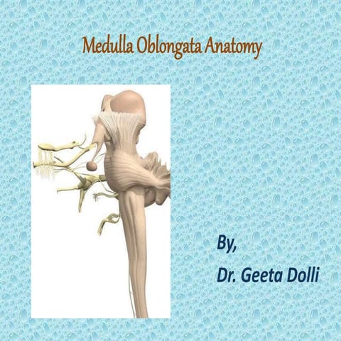 Detailed Anatomy of Medulla Oblongata ppt