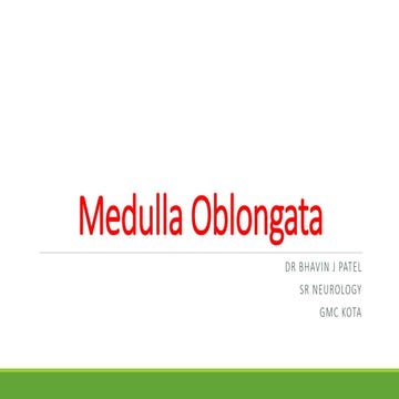 Medulla oblongata