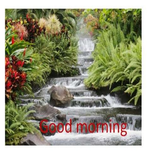 Medulla oplongata 22 04-16