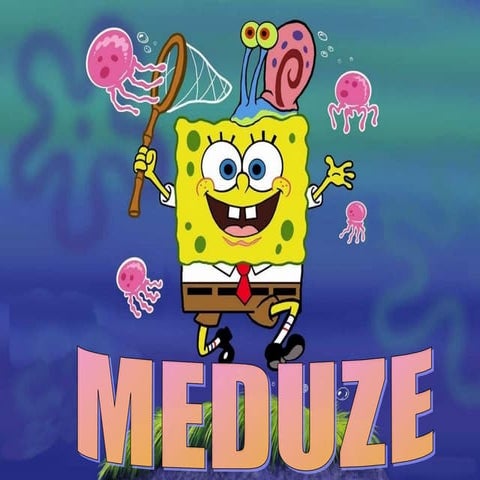 Prezentacija: Meduze