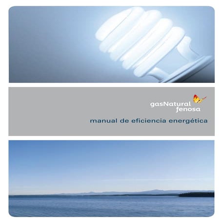 Manual de Eficiencia Energética | PDF