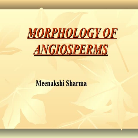 angiosperms