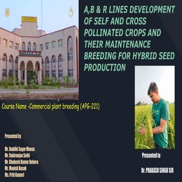 A,B& R LINE DEVELOPMENT IN HYBRID SEED PRODUCTION 