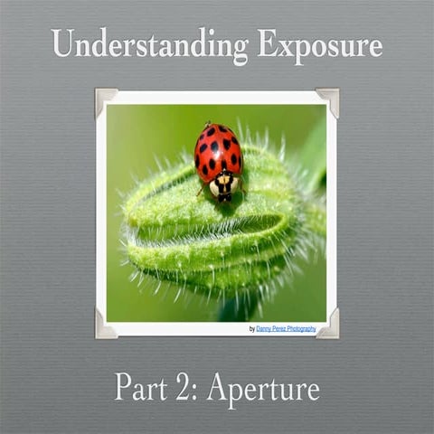 Understanding Exposure: Aperture
