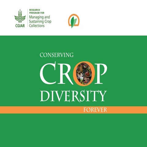 Meeting of the cgiar consortium board and director generals