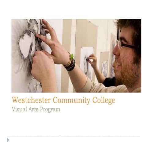 Visual Arts Program Review