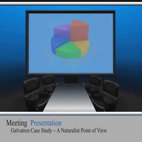 Meeting presentation 2010_8238 - revision 2