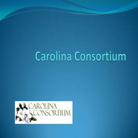 Carolina Consortium PP Slides