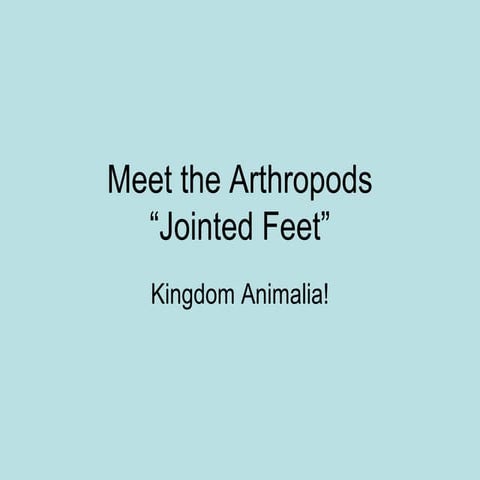 Meet the arthropoda