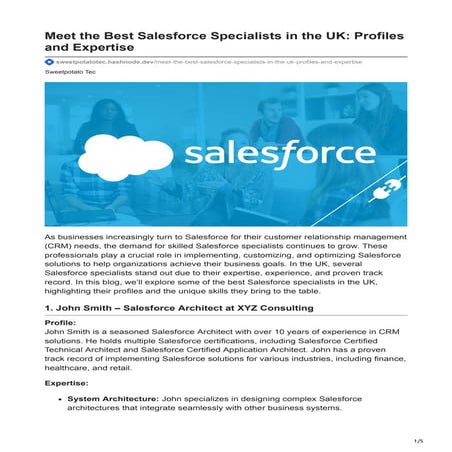 Meet the Best Salesforce Specialists in the UK Profiles and Expertise.pdf