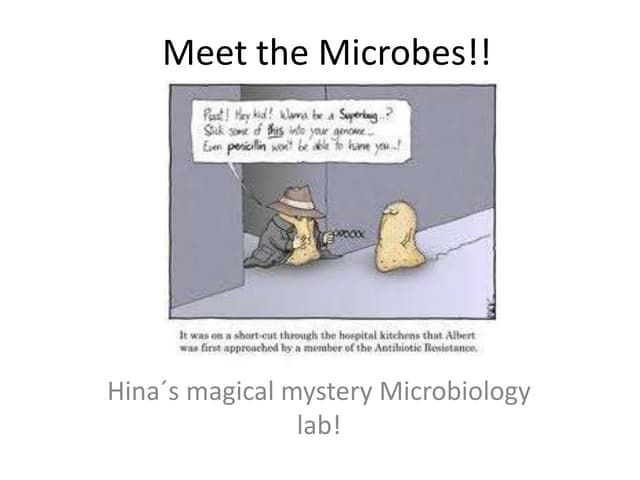Meet the microbes!!