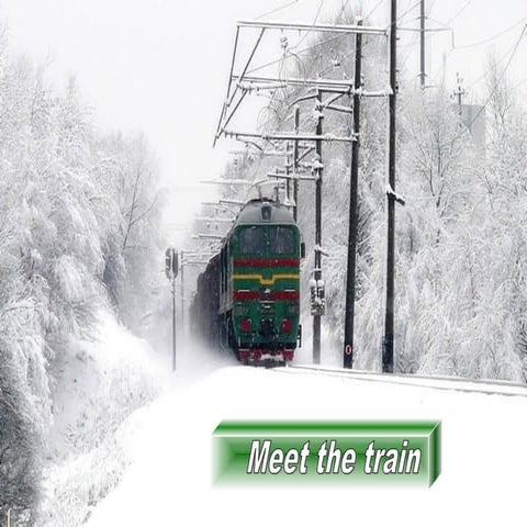 Meet the train~nice!!