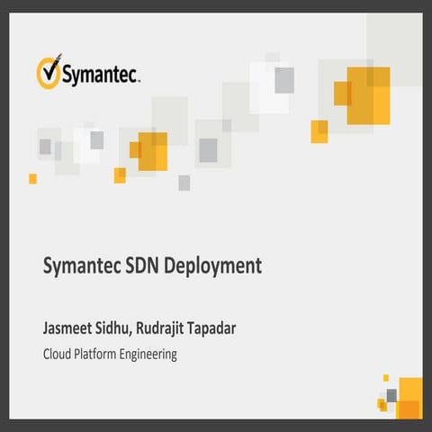Symantec SDN Deployment