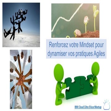 20200128 - Meetup Nice Côte d'Azur - Agile Mindset