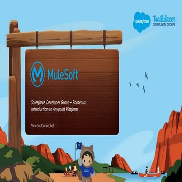 Introduction to Mulesoft and Salesforce Spring '19 release features
