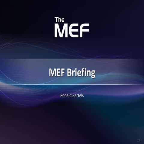 MEF briefing