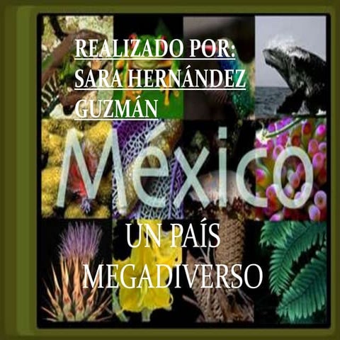 Por qué méxico es un país megadiverso