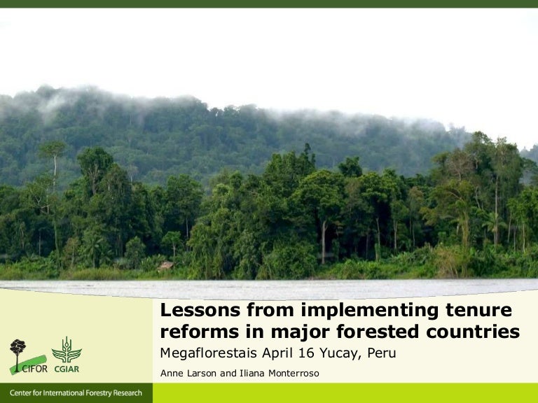 thumbnail of  Lessons from implementing tenure reforms in major forested countries
