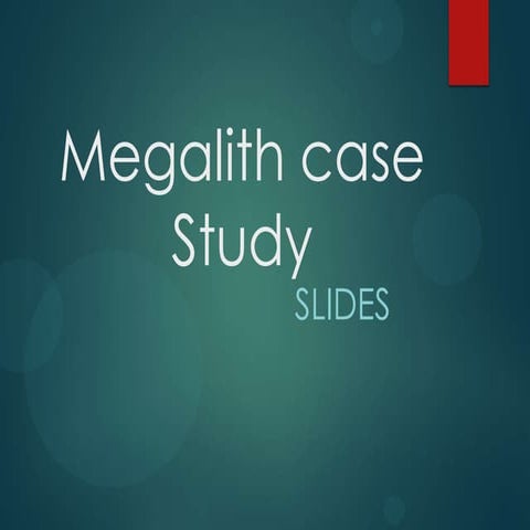 Megalith Casestudy