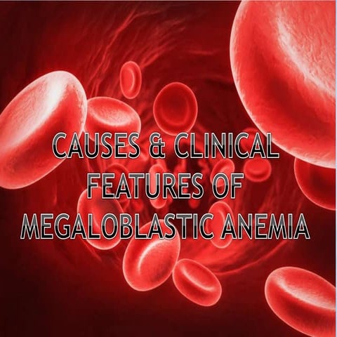 Megaloblastic anaemia