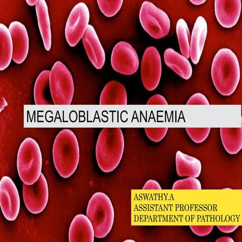 Megaloblastic Anaemia